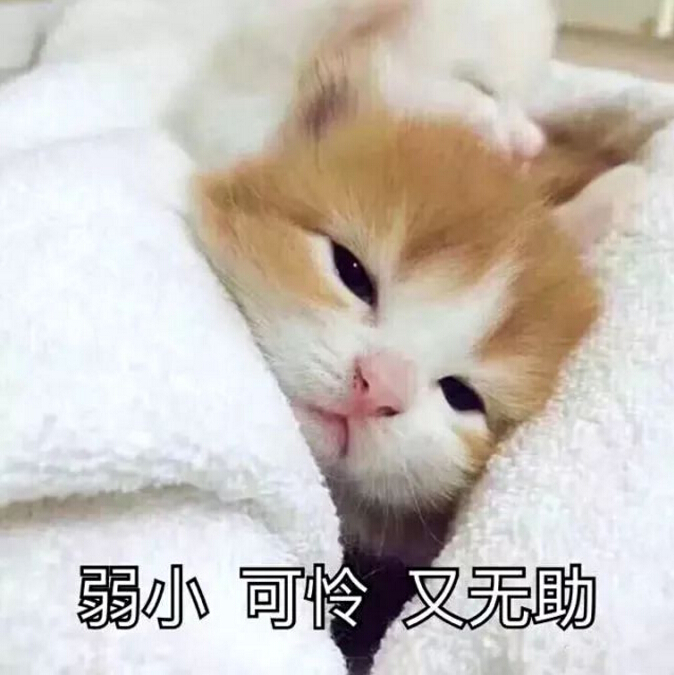 曾经的我也是这样的弱小可怜又无助